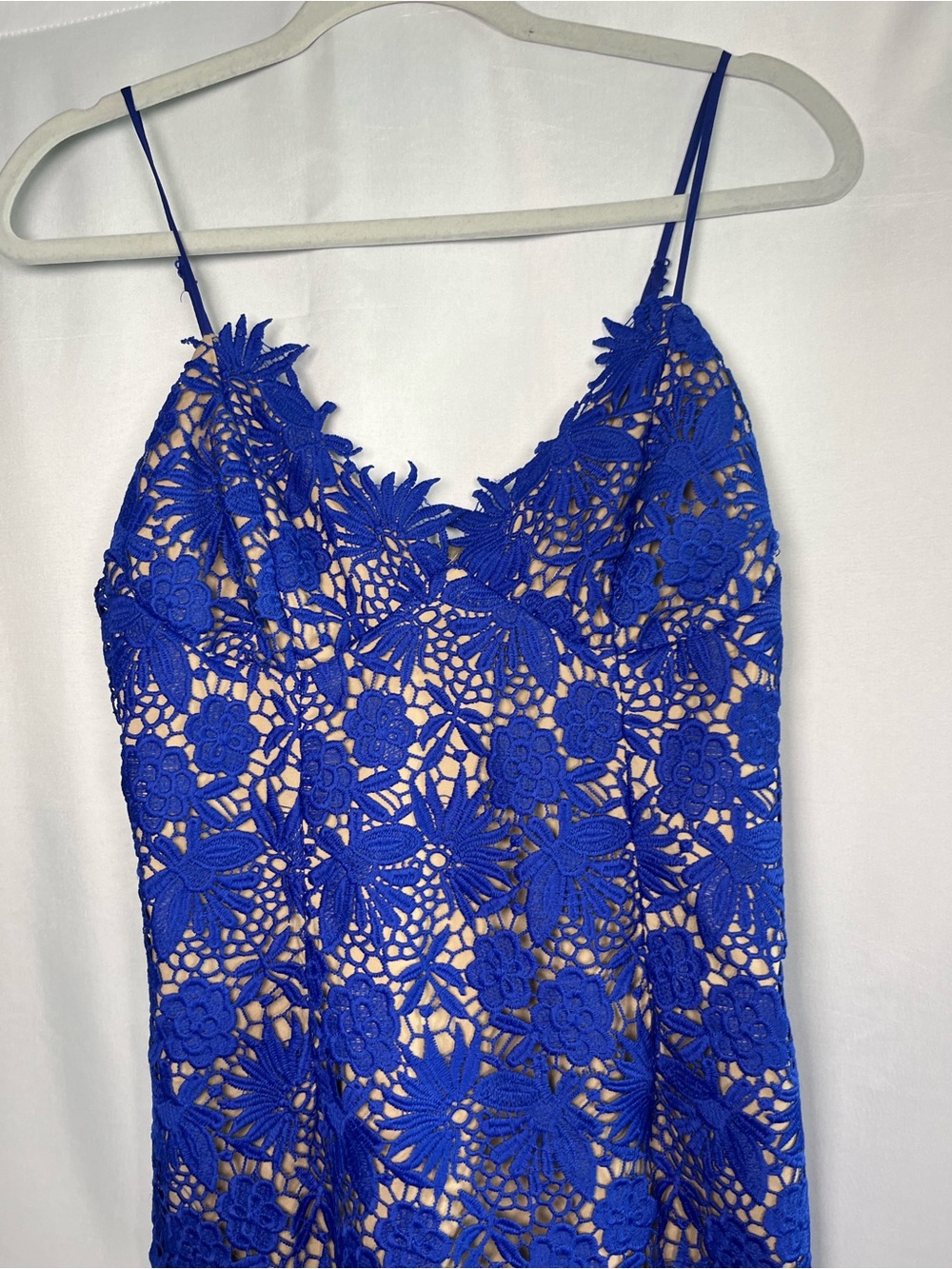Bardot cobalt  blue Tayla overlay lace cocktail midi dress US SZ 8/M - Picture 4 of 10